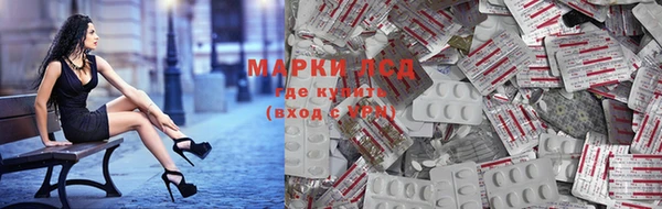 мяу мяу мука Аркадак
