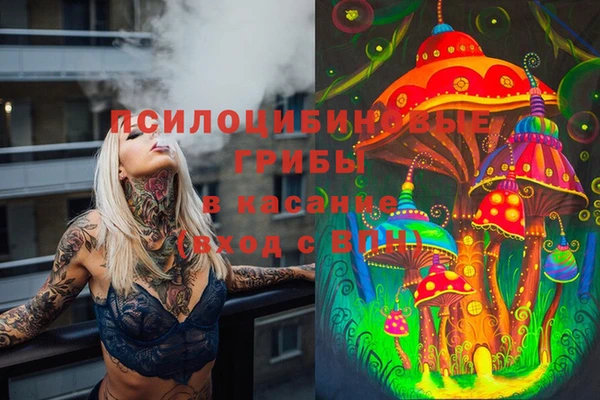 ешки Армянск